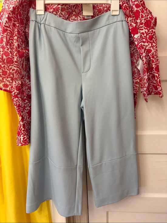 liberty Pants - Maeve Anthropologie Pale Blue Vegan Leather Cropped Wide-Leg Pants